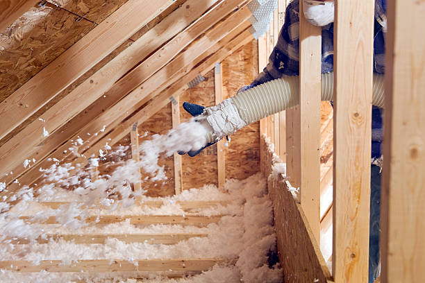 Best Eco-Friendly or Green Insulation Solutions in Oildale, CA